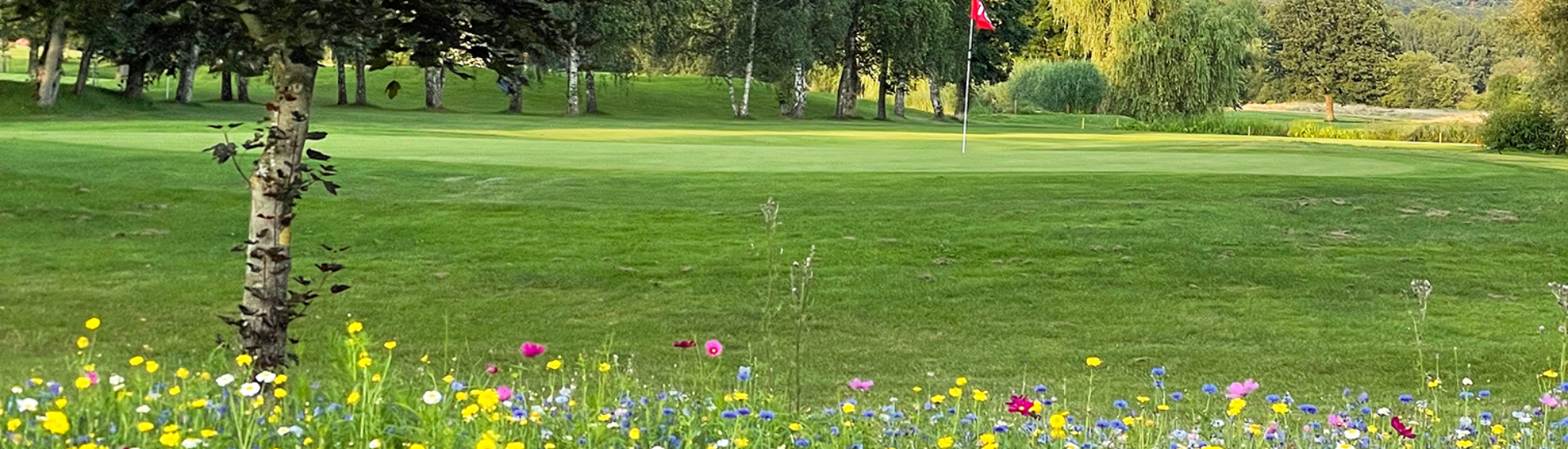OHGC-Loch18-Green-4360 OHGC Blumen Loch 18
